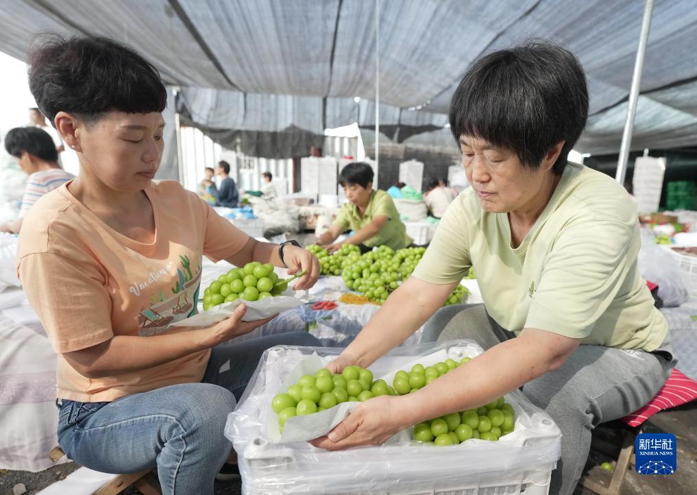 韦德网上注册
